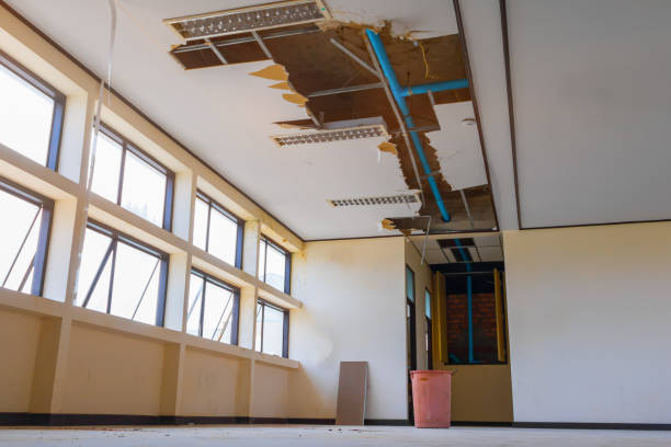 Best Water damage restoration services  in Atasdero, CA