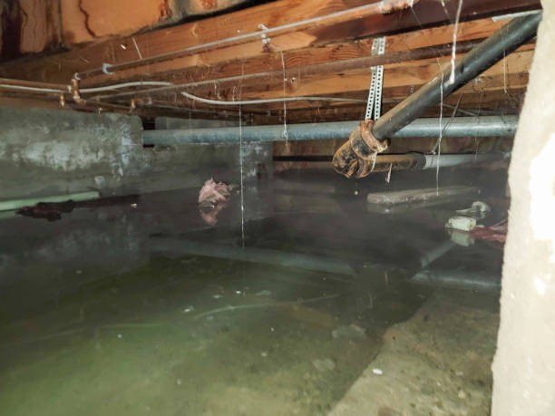 Best Ceiling water damage repair  in Atasdero, CA