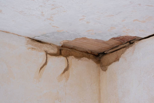 Best Water damage restoration near me  in Atasdero, CA