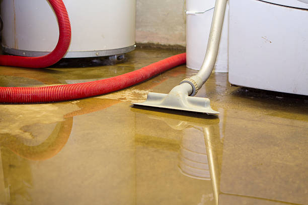 Best Sewage cleanup and water damage restoration  in Atasdero, CA
