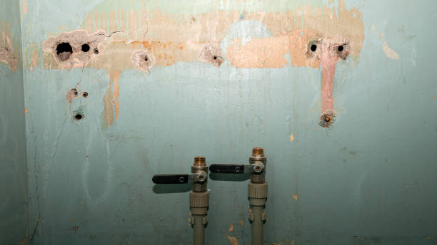 Best Water damage cleanup near me  in Atasdero, CA