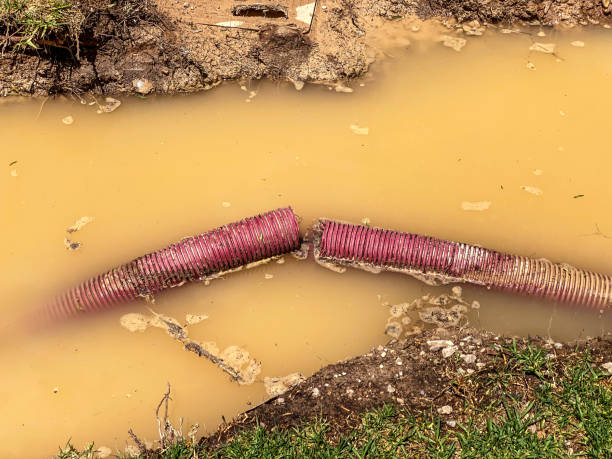 Best Basement water damage restoration  in Atasdero, CA