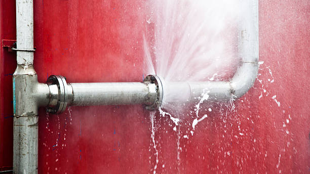 Best Water damage contractors near me  in Atasdero, CA